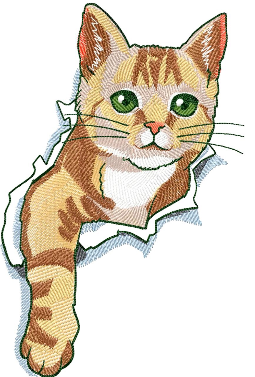 Cat _ Machine Embroidery Design