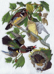 Birds _ Machine Embroidery Design