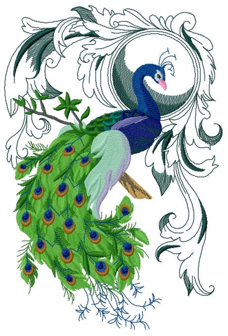 Peacock _ Machine Embroidery Design