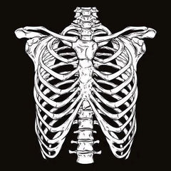 Structure of the rib cage _ Machine Embroidery Design