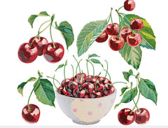 Cherry _ Machine Embroidery Design / FancyWorKech