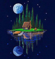 Night house nature